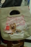 Bolsa Rafitthy - Transversal